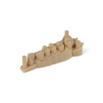 Formlabs – Precision Model Resin (Form 4) 1 L