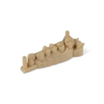 Formlabs – Precision Model Resin (Form 4) 1 L