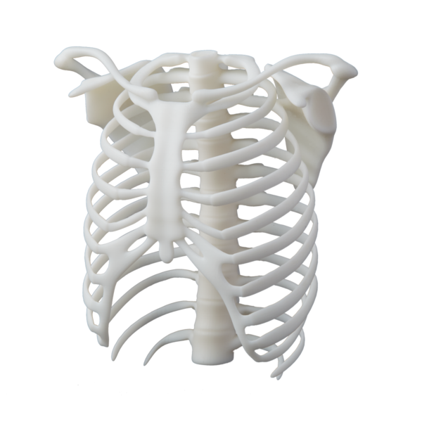 Formlabs - White Resin V4.1 (Form 3) 5 L - SP Integra Canarias
