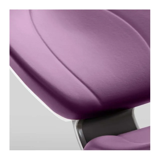 Tapicería Plum